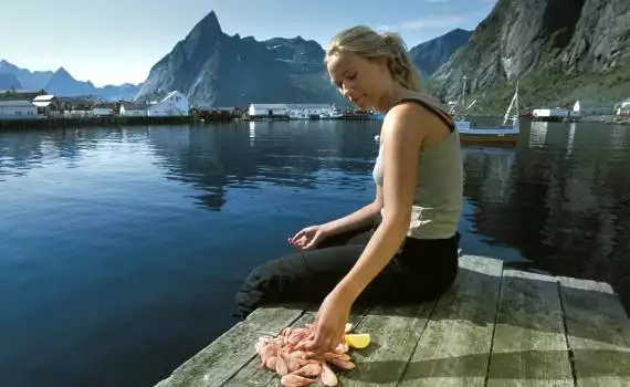 Vakantiehuis Lofoten en Vesterålen fly & drive