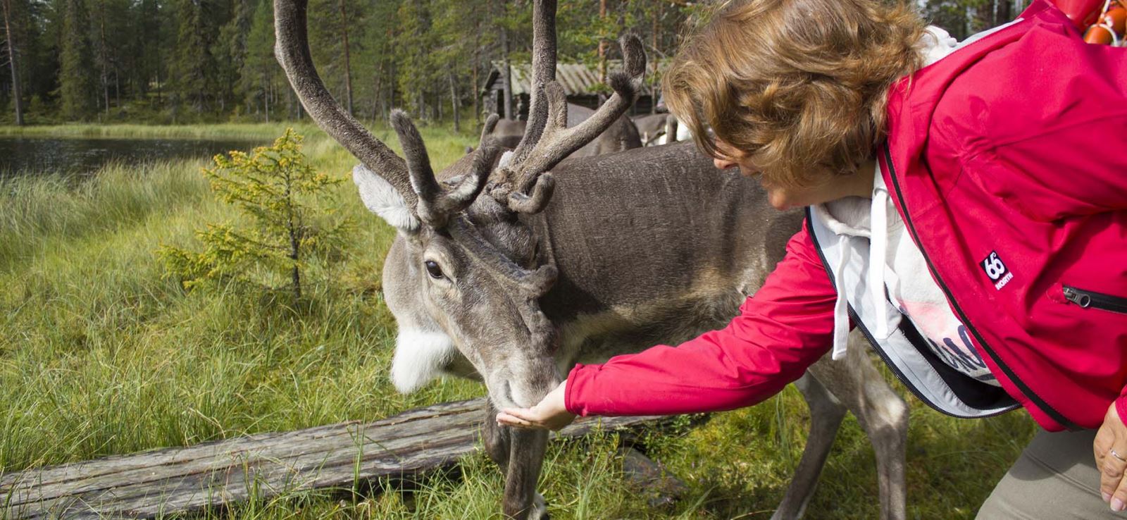 vakantiehuis-lapland-header