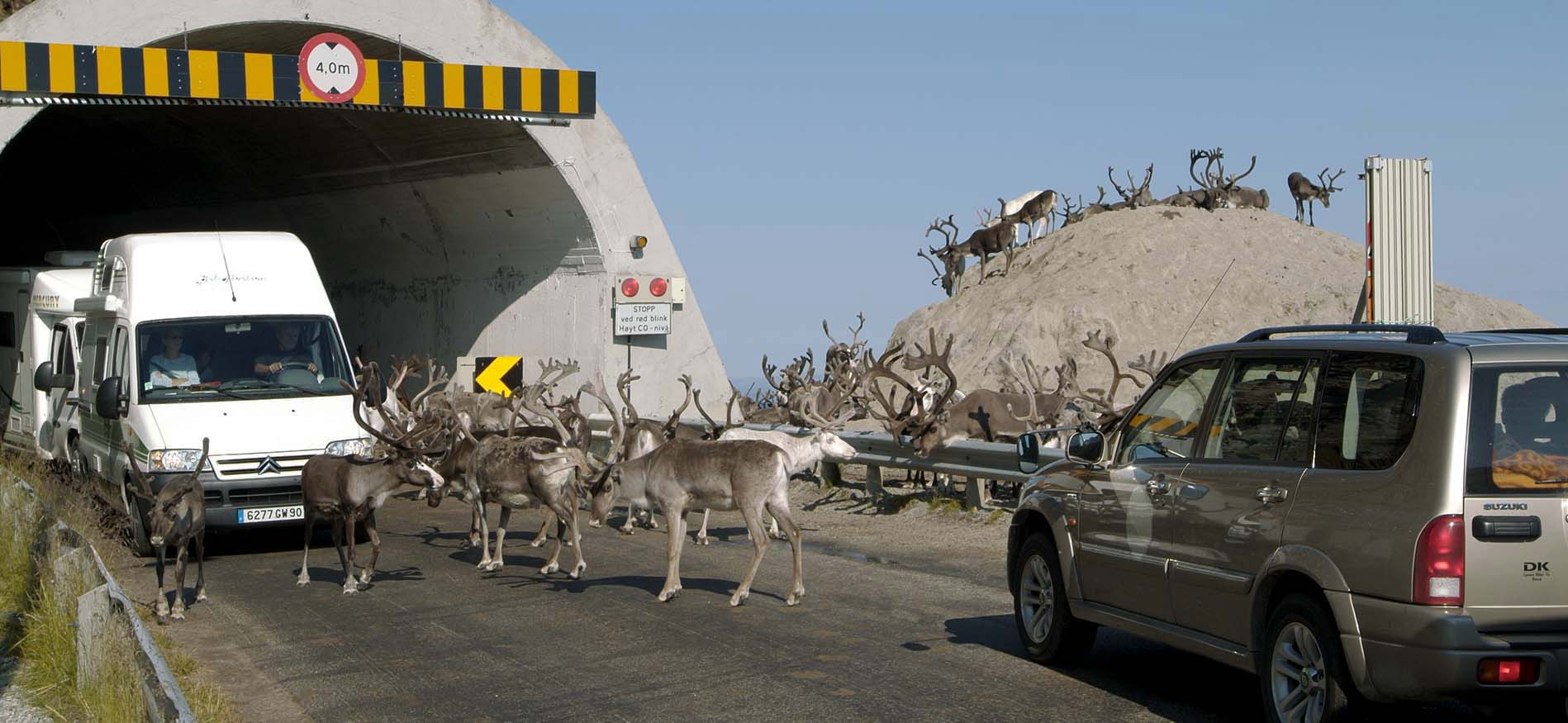 camper-compleet-noorwegen-lapland-header