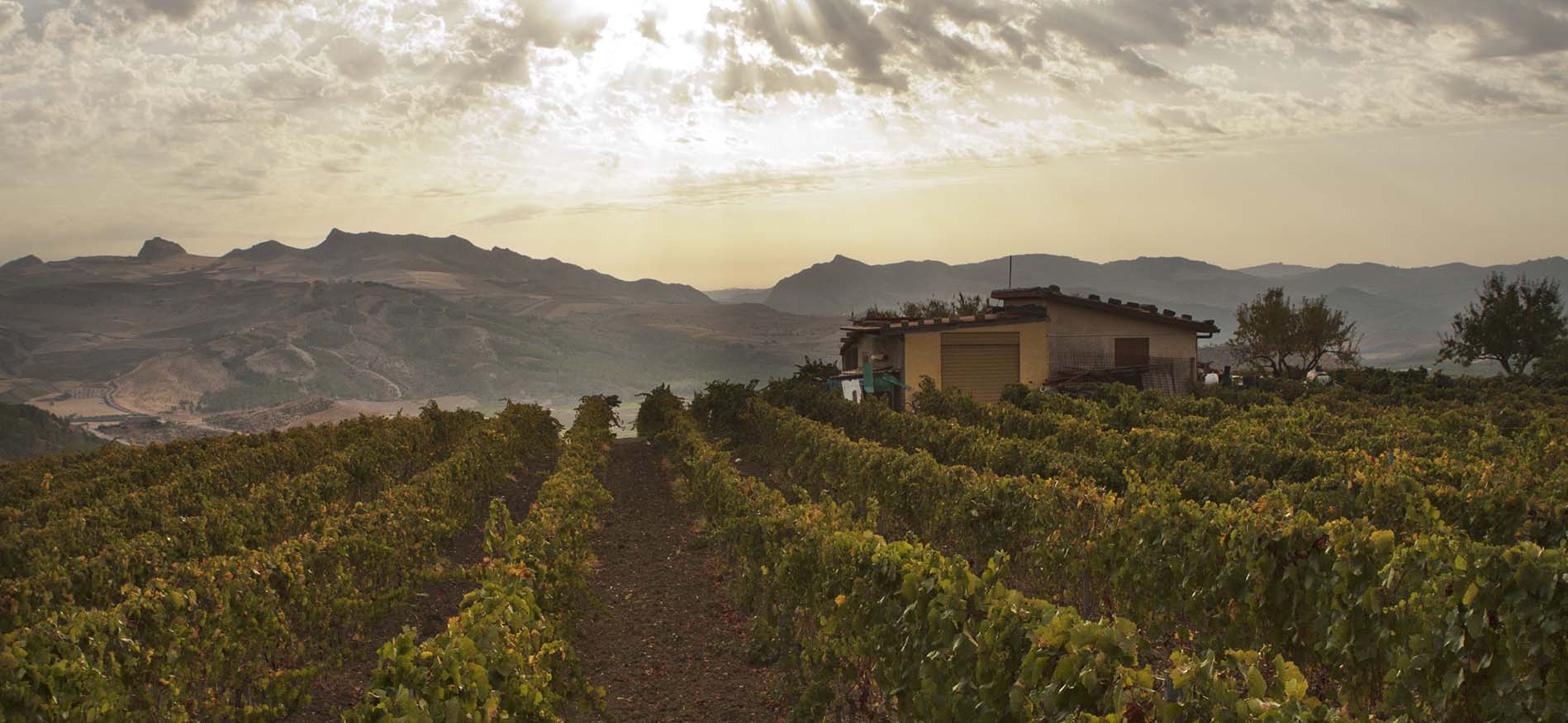 sicilia-rurale-fly-drive-header