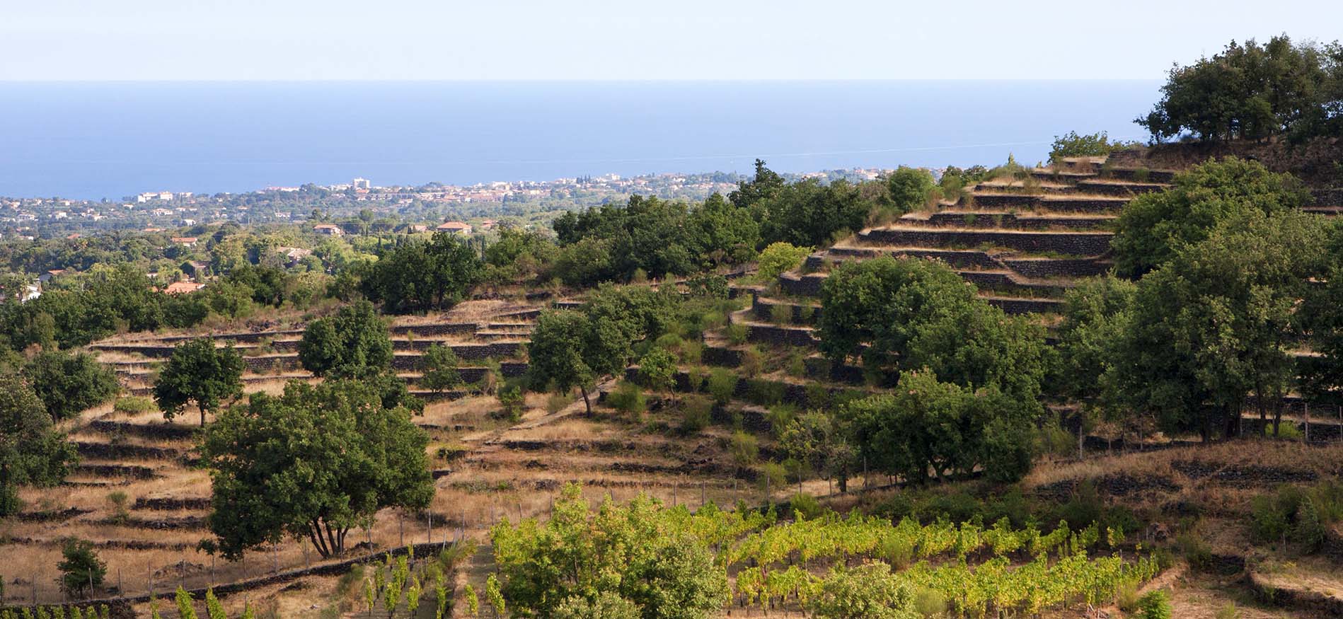 sicilia-strada-del-vino-flydrive-header