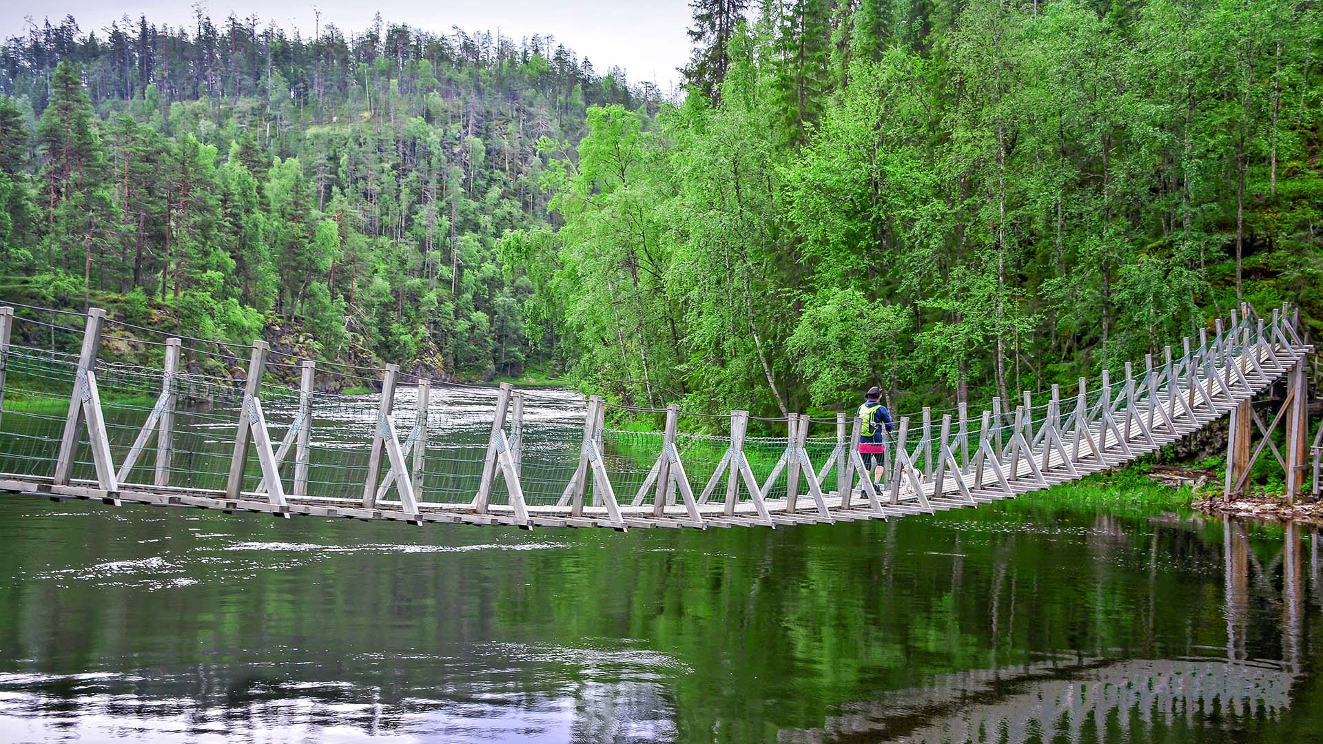 actiefweek-lapland-flydrive-header