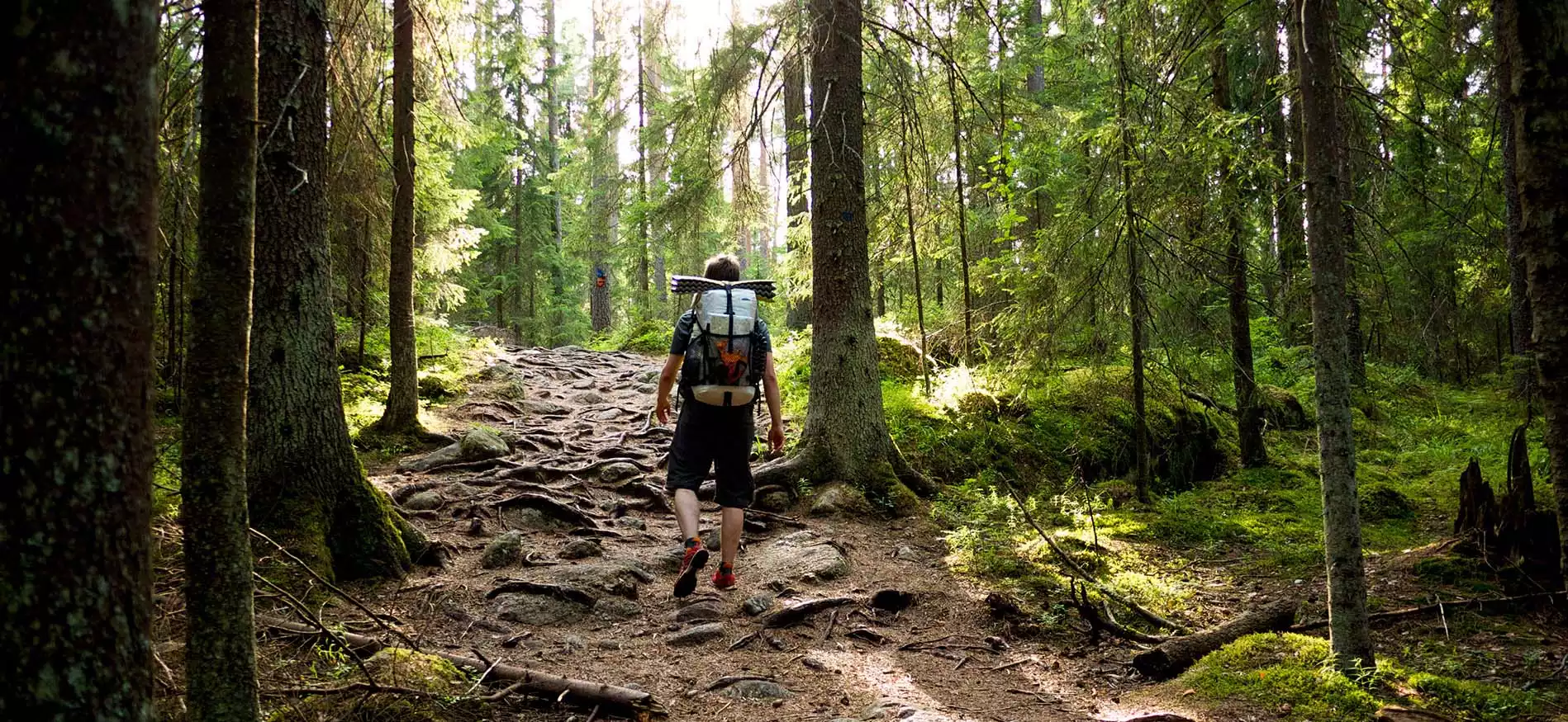 Wandelweek nationale parken Lapland