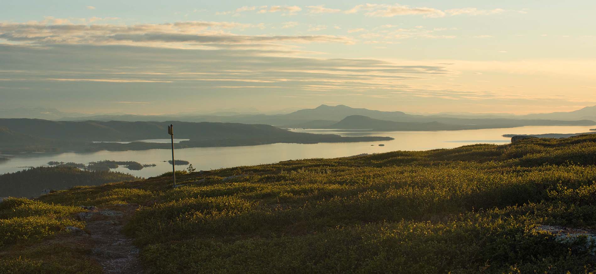 onontdekt-zweden-header