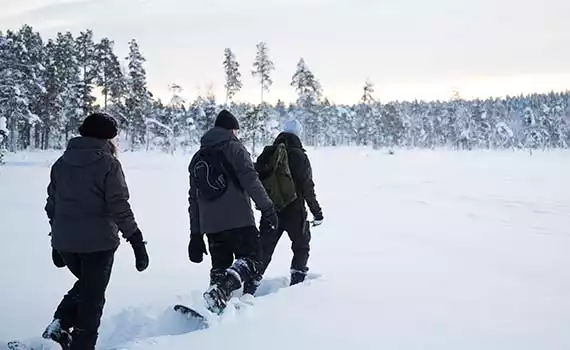 Sneeuwavontuur Saariselkä