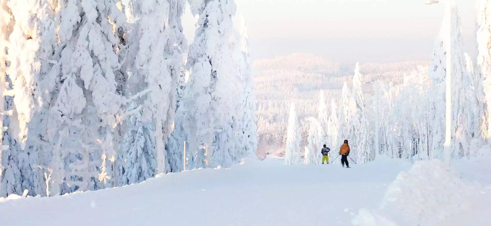 Ski avontuur Himos bungalows