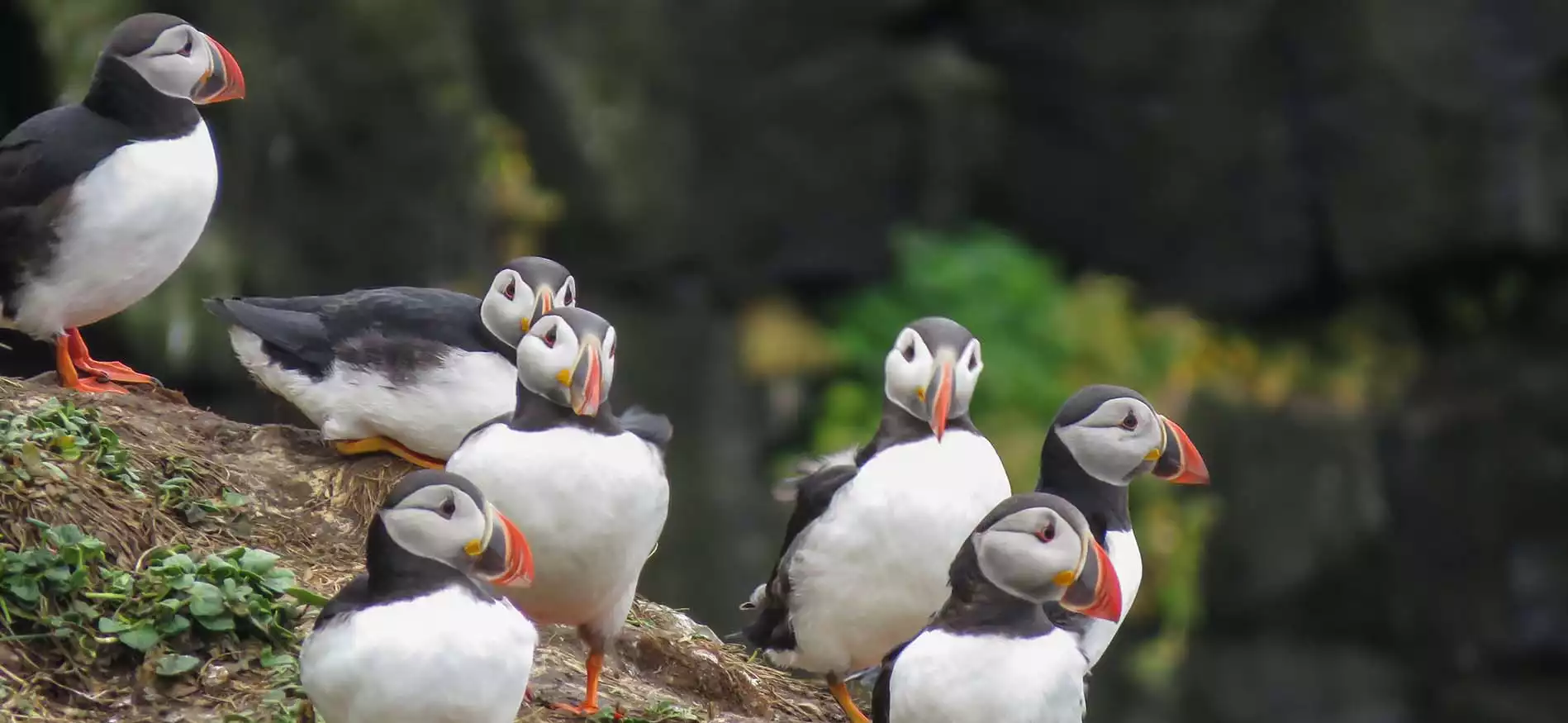 Avontuur- en natuurweek Noord-IJsland