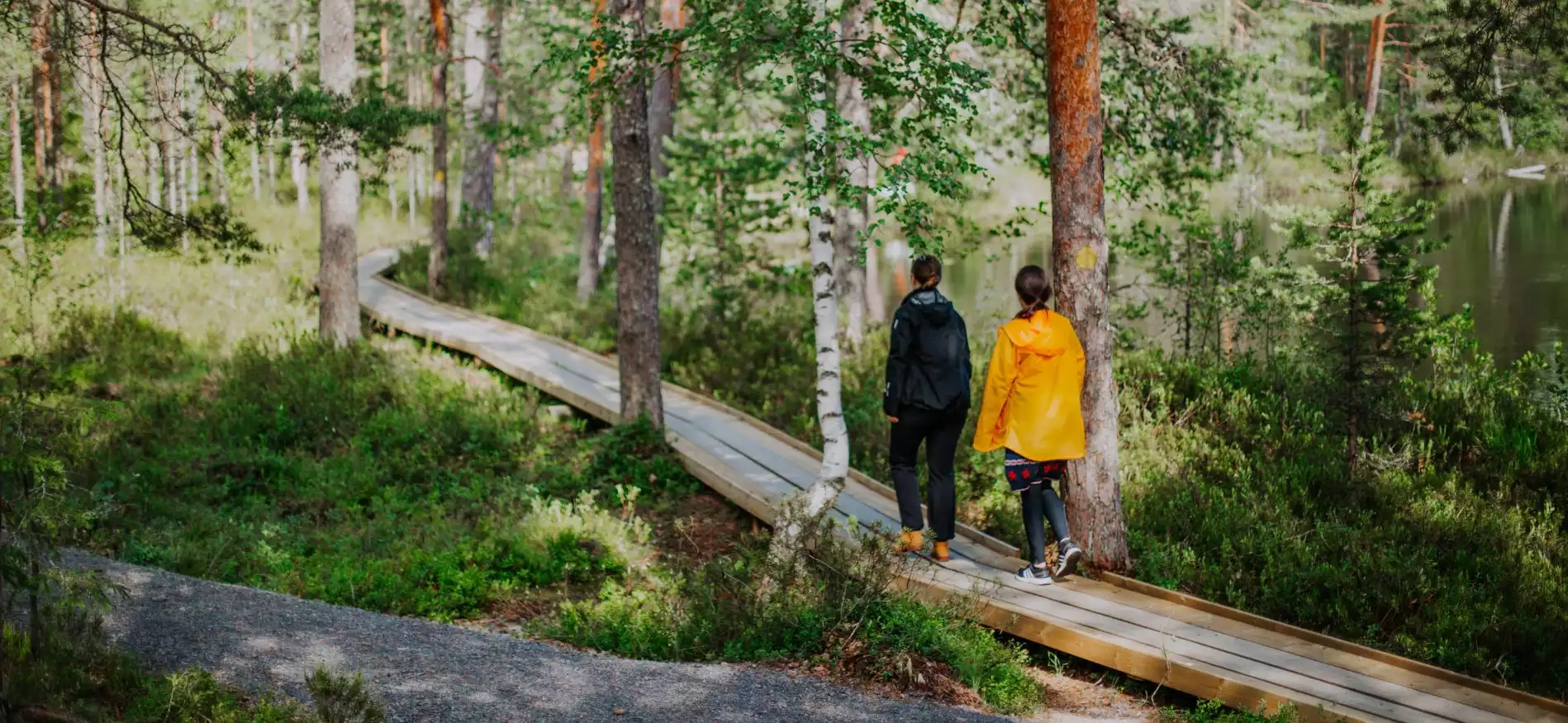 Finse meren en bossen