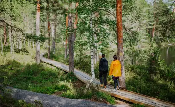 Finse meren en bossen