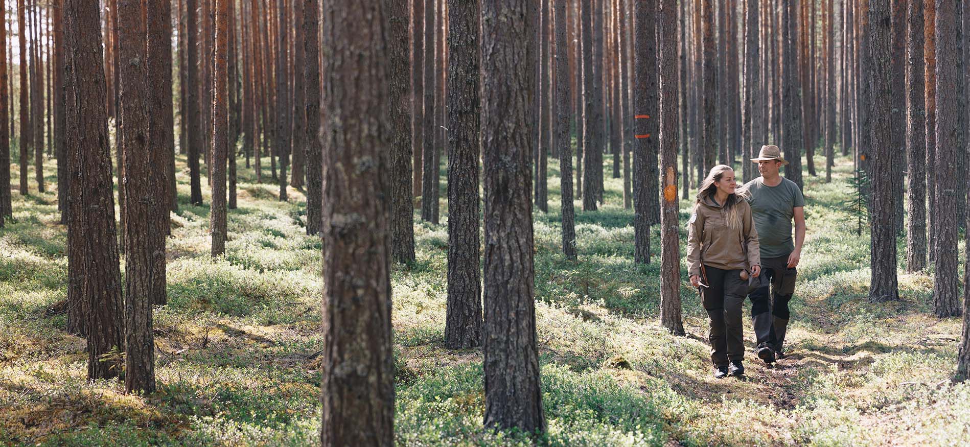 actiefweek-zweeds-lapland-header