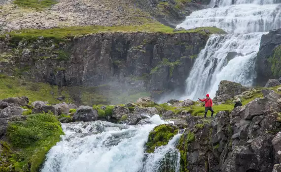 Westfjorden fly & drive