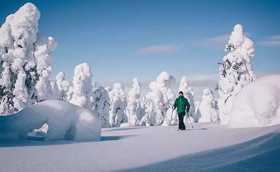 Sneeuwavontuur Rovaniemi