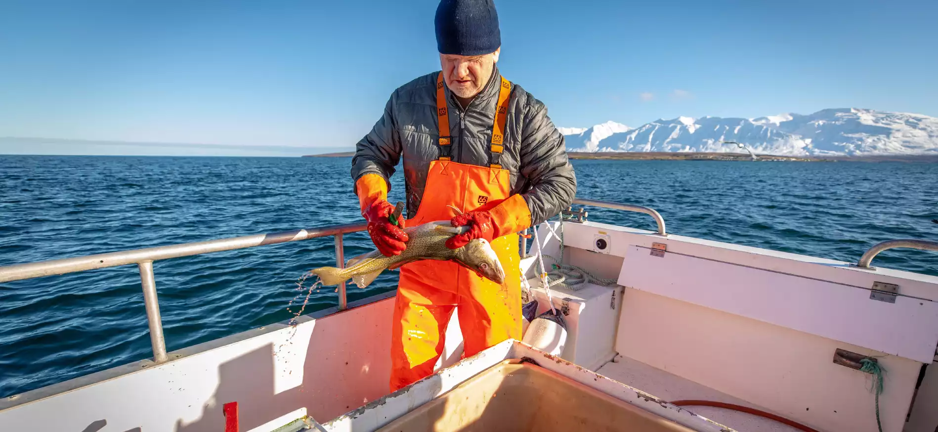 Arctic Coast Way fly & drive 