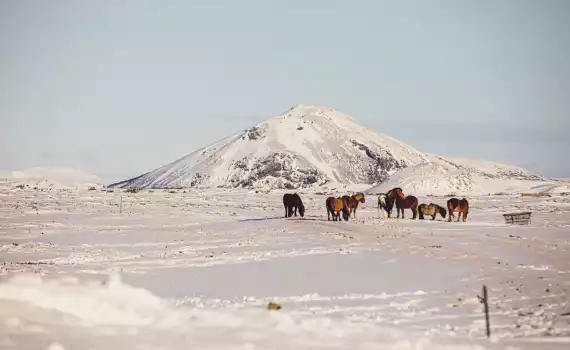 Lokaal en uniek Noord-IJsland
