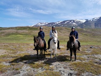 team-voigt-travel-paardrijden