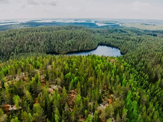 dji_0249