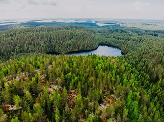 dji_0249