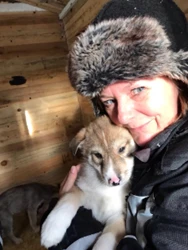 team-voigt-travel-mirjam-husky-puppy