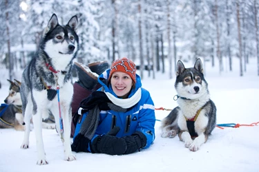 husky-lapland