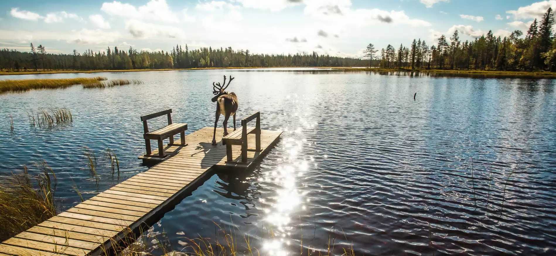 finland-header