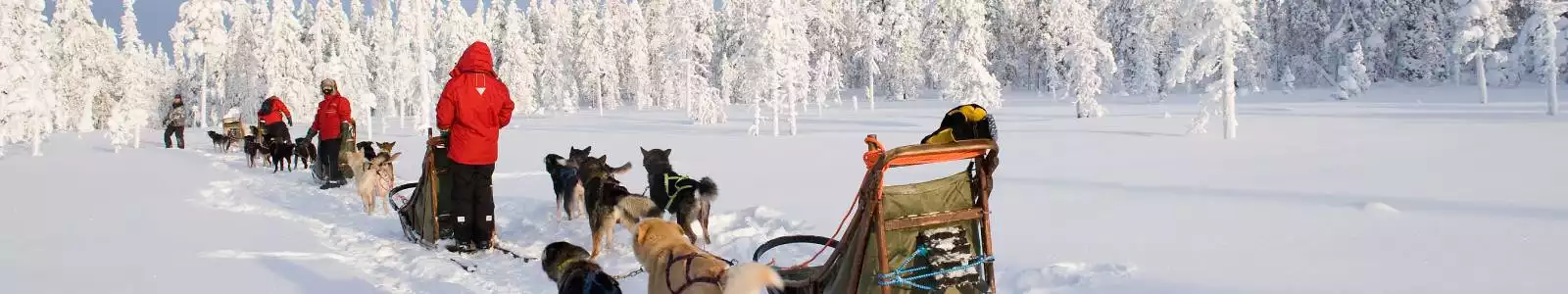 groepsrondreizen-header-lapland