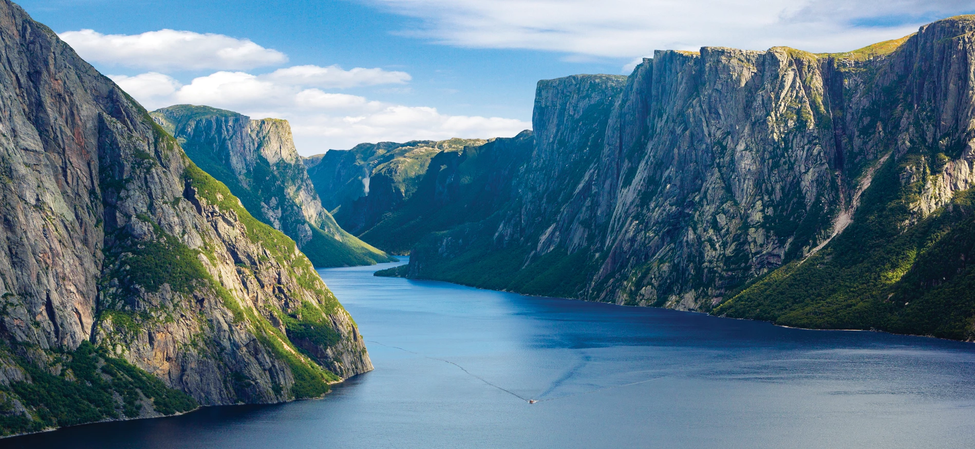 header%20newfoundland%203