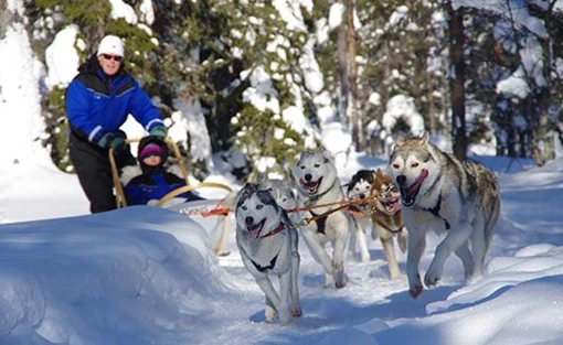 Lapland winter