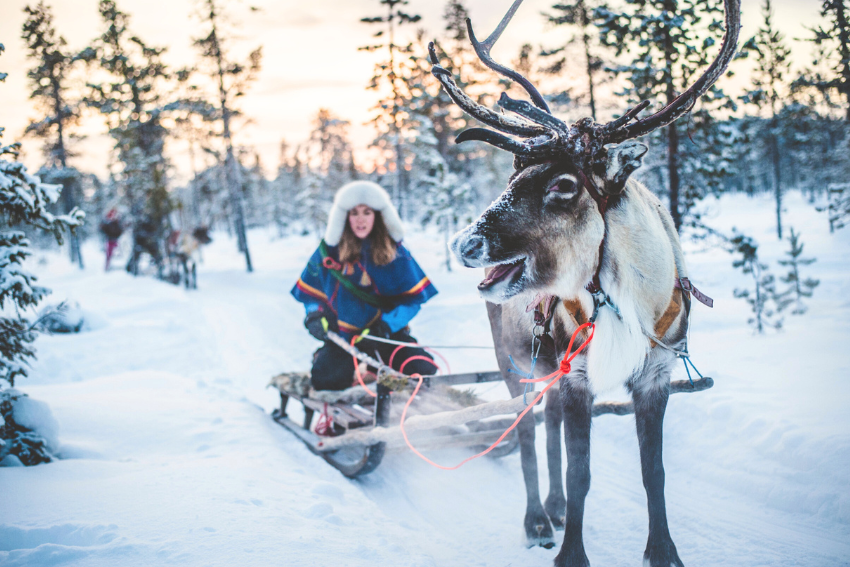 Last-minute Lapland