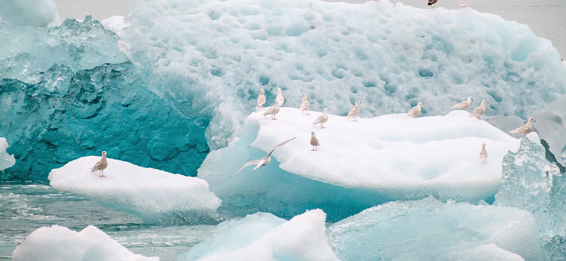 IJsland vakantie last minute