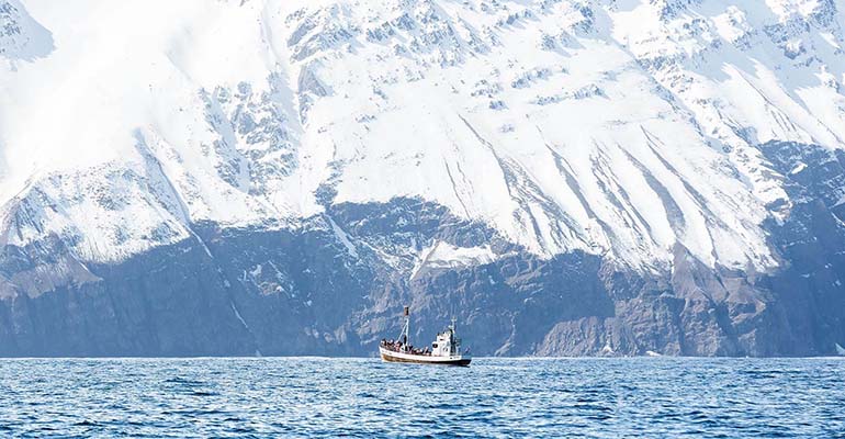 ijsland winter aanbieding