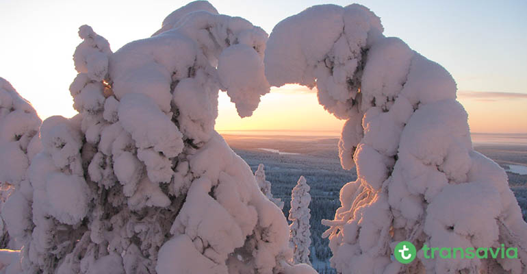 lapland aanbieding