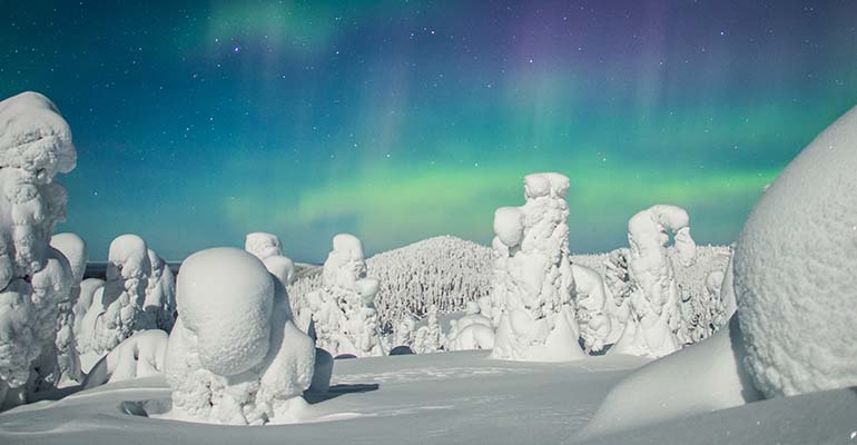 lapland aanbieding