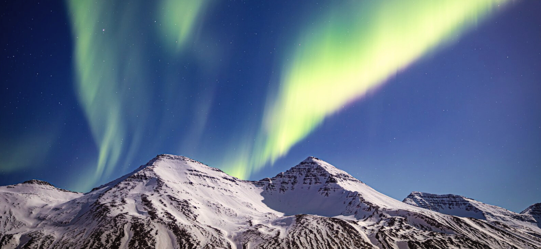 Bezoek onze (online) events