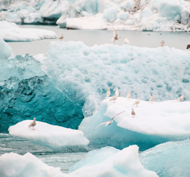 Last-minute korting IJsland winter