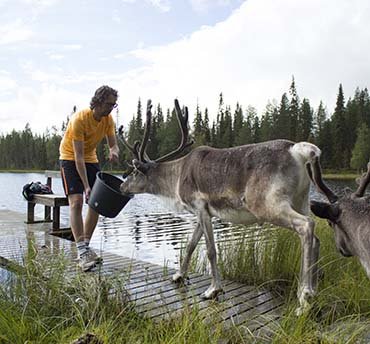 lapland zomer