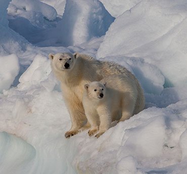 svalbard spitsbergen