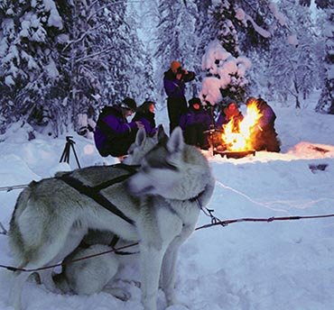 lapland vakantie