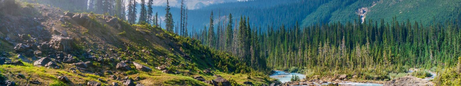De mooiste Canadese hotspots, highlights en bezienswaardigheden