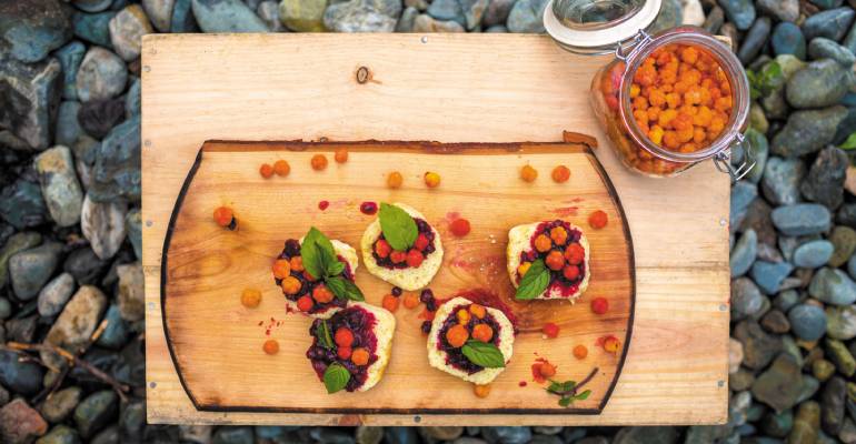 wildfood in canada