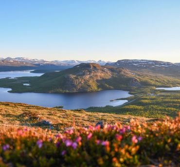 Zomer in Lapland