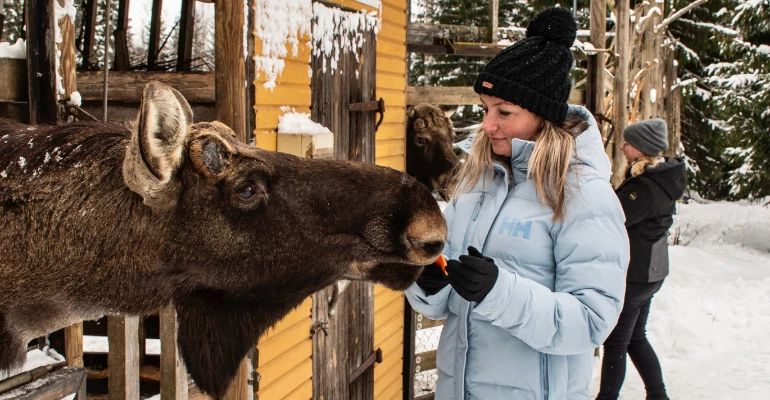 moose manor