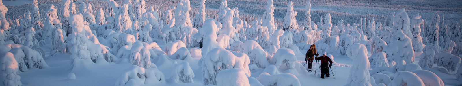 Finland wintervakantie