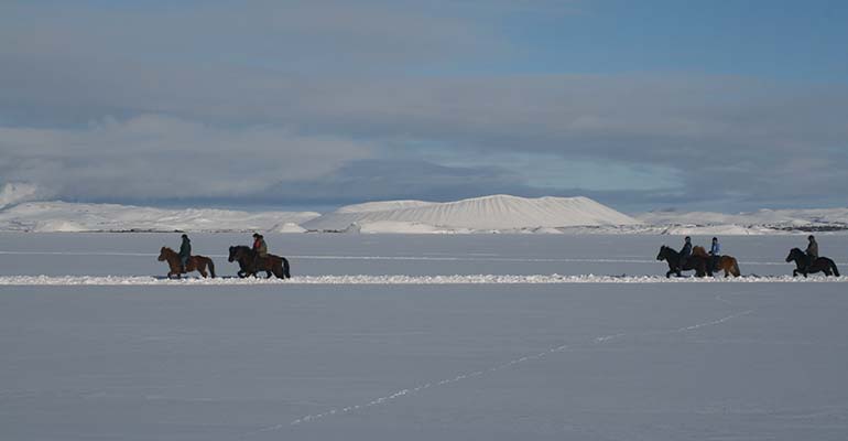 waar kun je paardrijden in IJsland in de winter