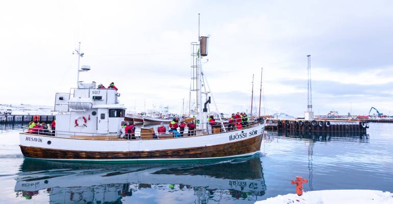 Walvissen spotten in de winter in IJsland met een eiken vissersboot