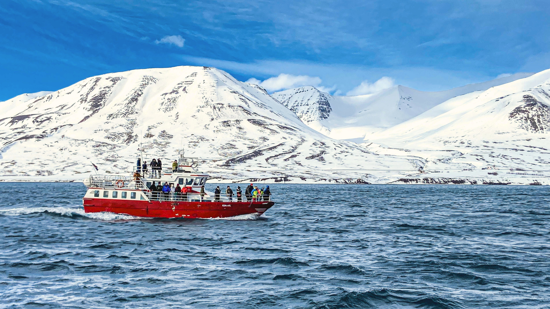 walvissen-spotten-ijsland
