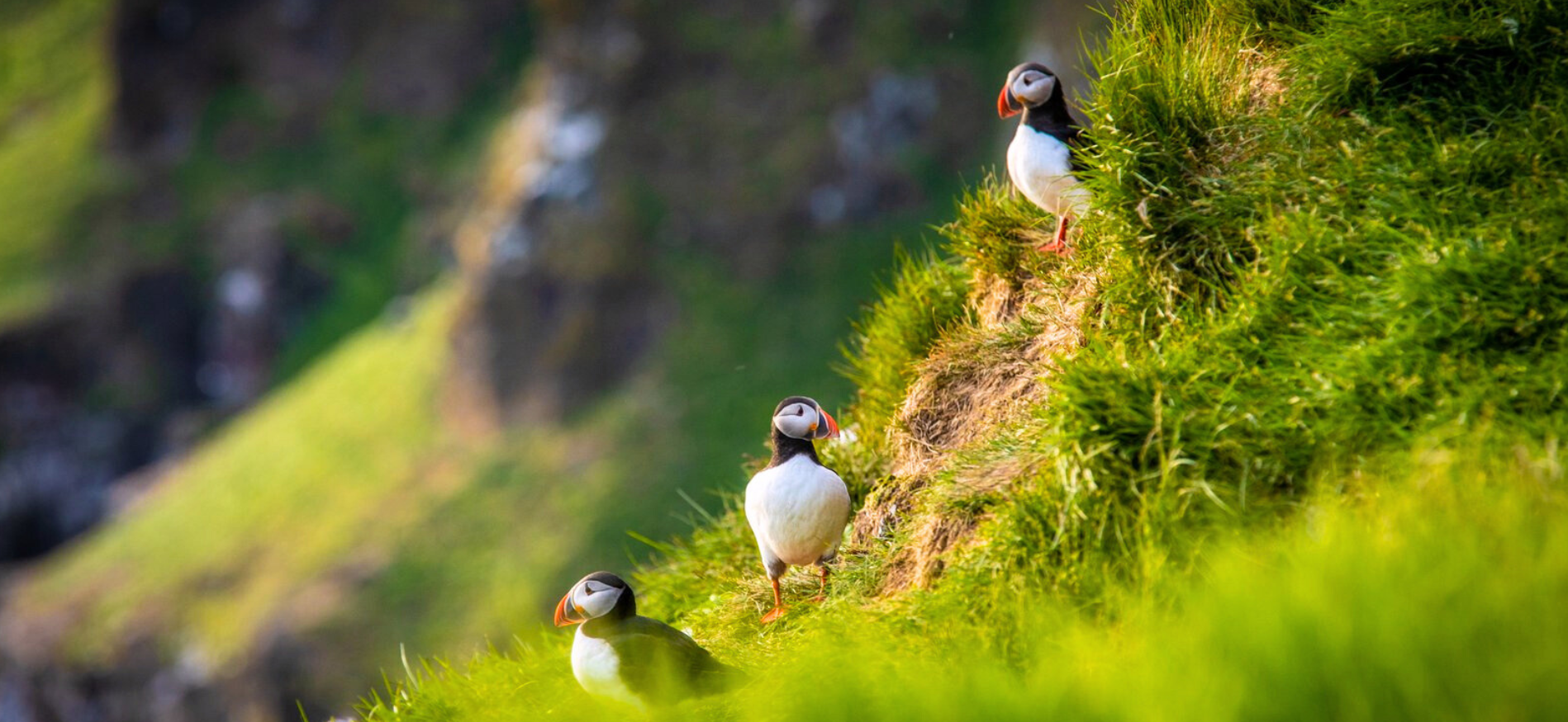 ijsland-vakantie-zomer