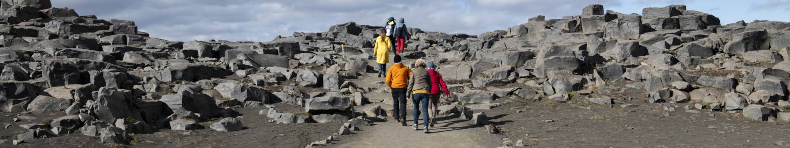 Excursies in IJsland