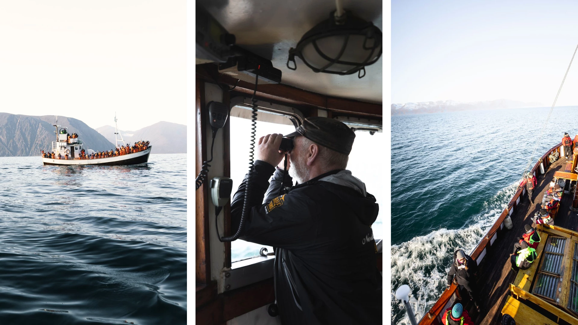 walwissen Húsavík IJsland