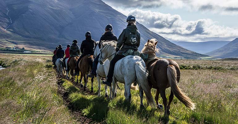 waar kun je paardrijden in IJsland