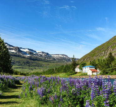 Bezienswaardigheden IJsland